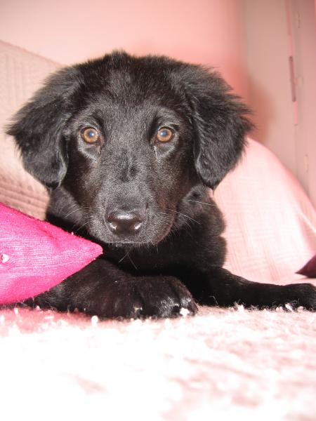 Une merveille de plus....