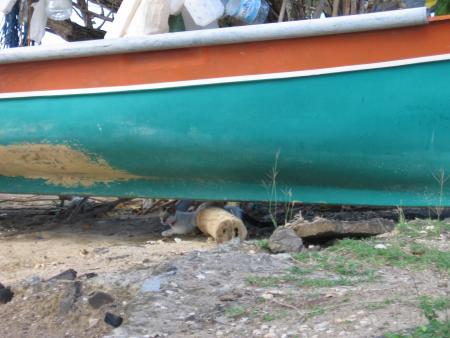 le chat sans  bottes