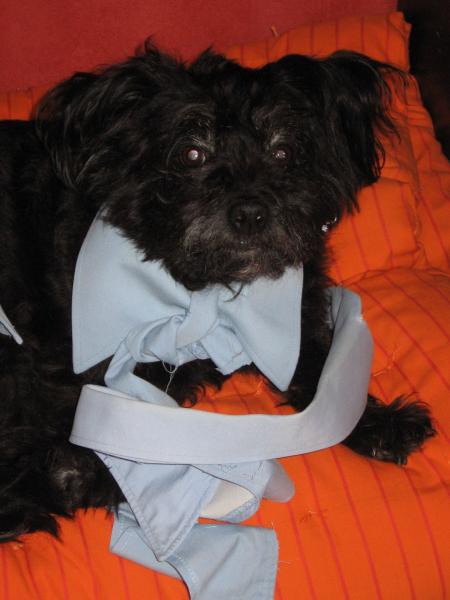 Pantoufle avec un noeud papillon fait maison