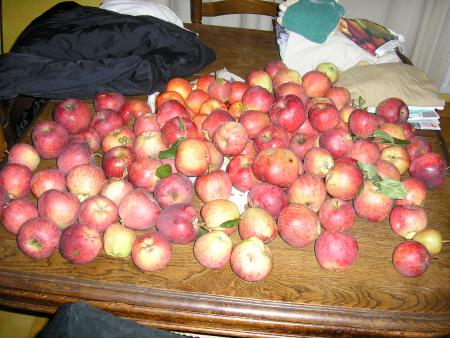 HISTOIRE DE FERMETTE